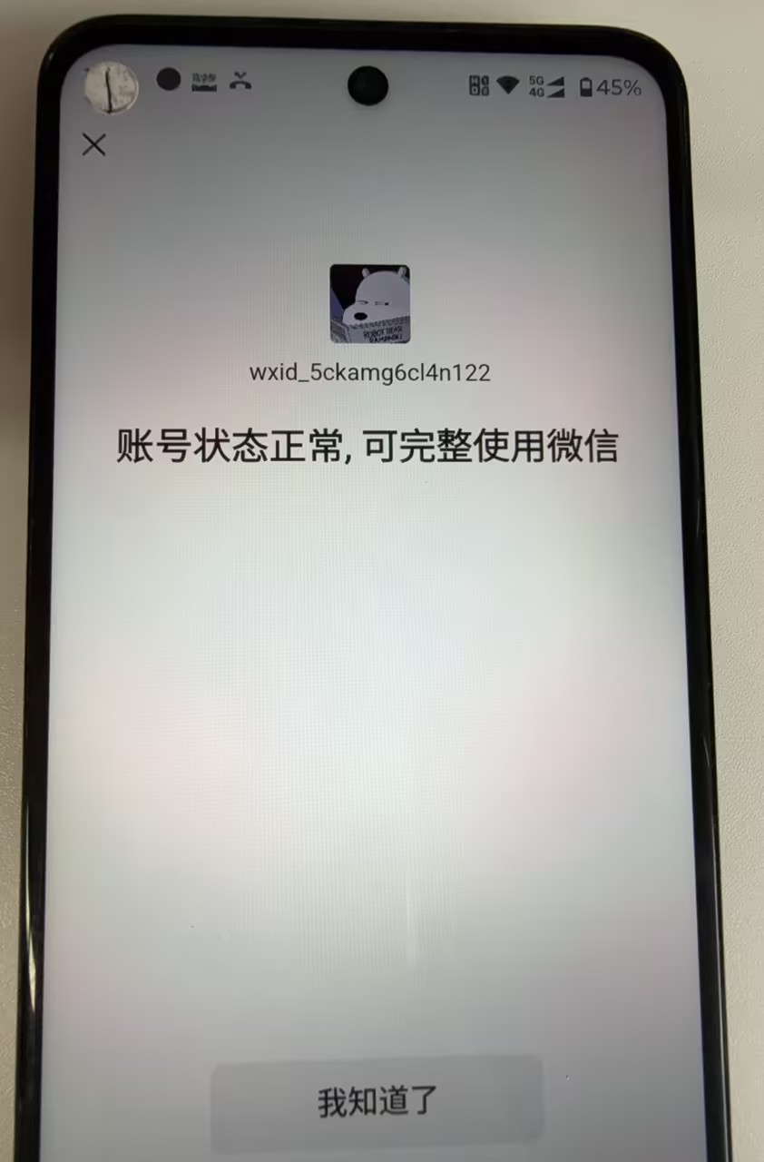 WZQM4417095王者荣耀账号详情图3 WZQM4417095王者荣耀账号详情图3
