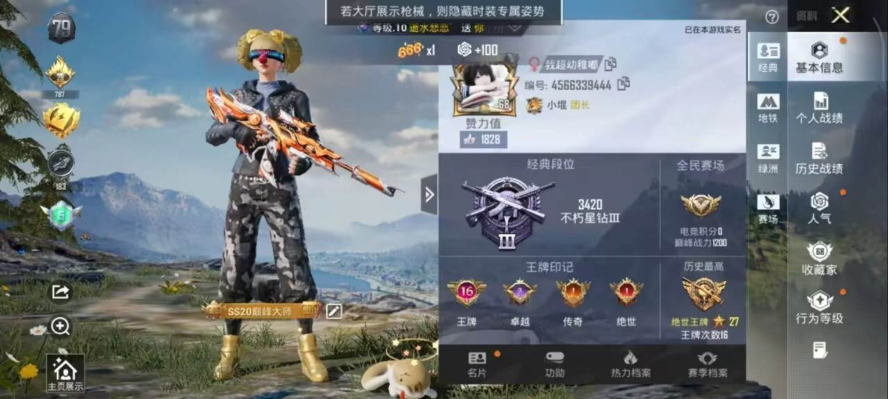 大图