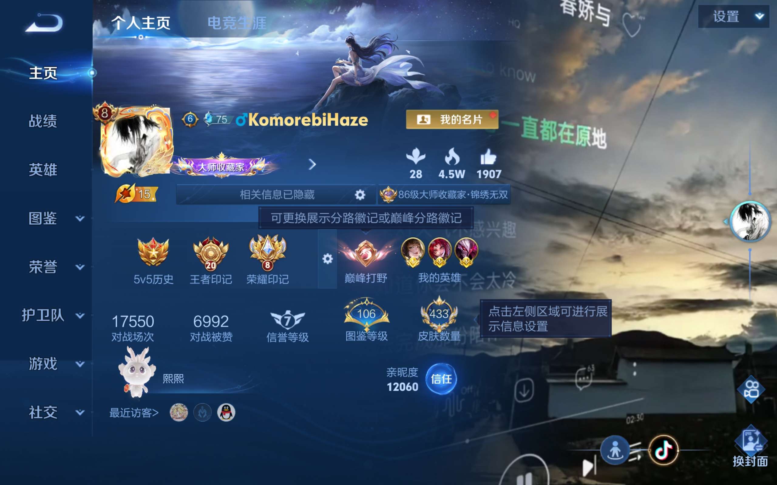 WZQM4425337王者荣耀账号详情图17 WZQM4425337王者荣耀账号详情图17