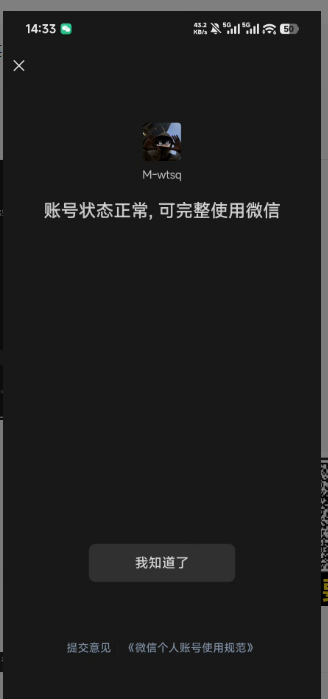 WZQM4438063王者荣耀账号详情图3 WZQM4438063王者荣耀账号详情图3