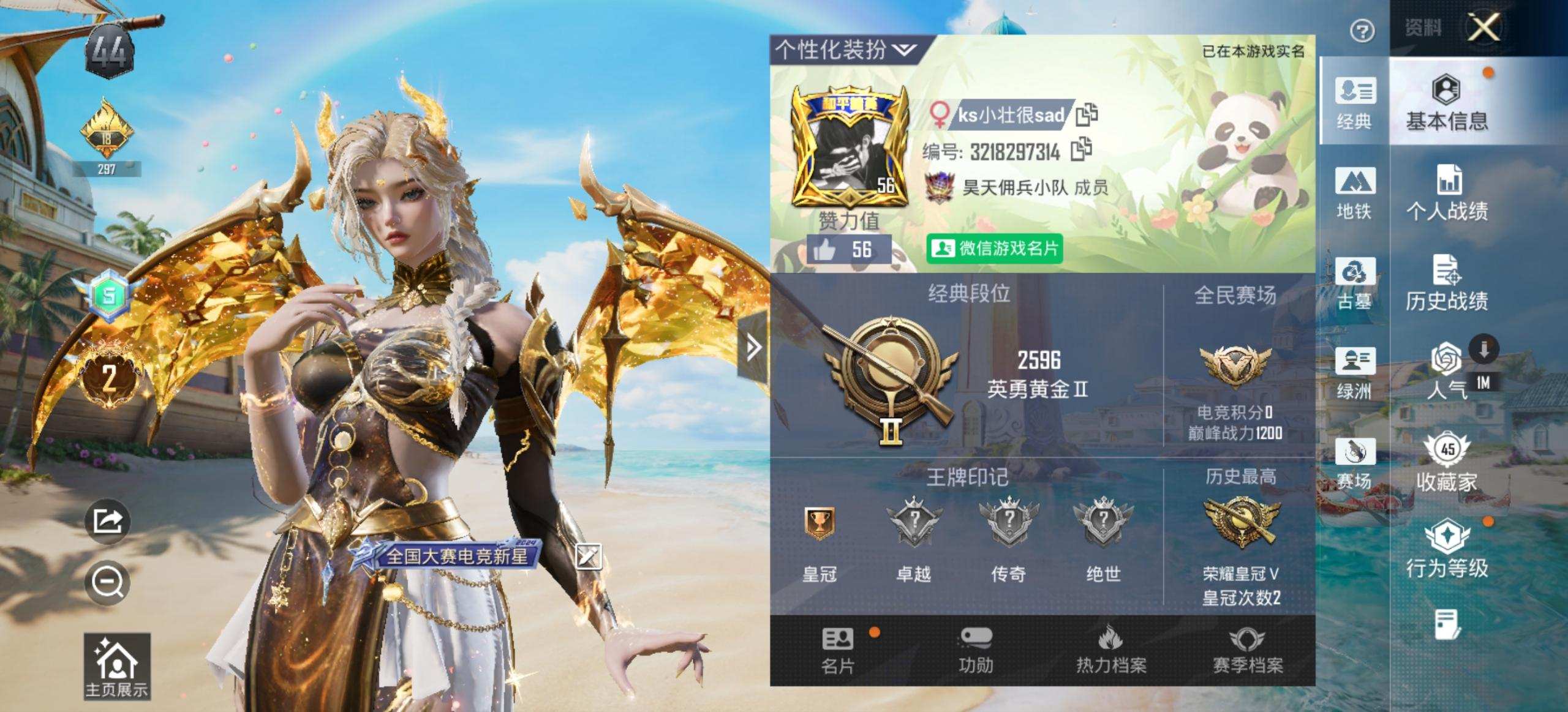 大图