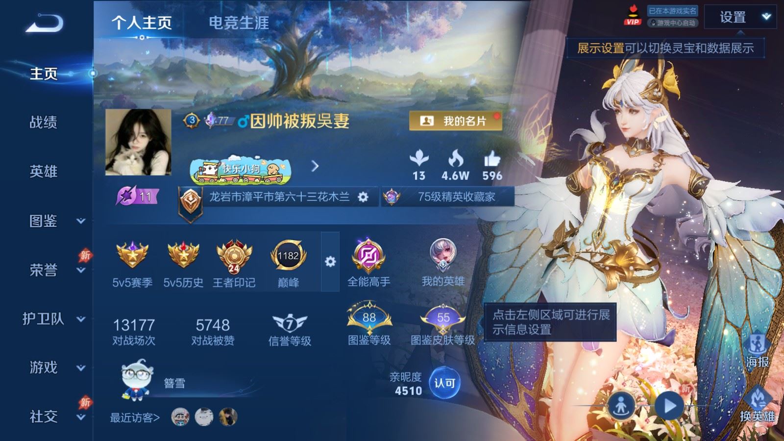 WZQM4457258王者荣耀账号详情图25 WZQM4457258王者荣耀账号详情图25