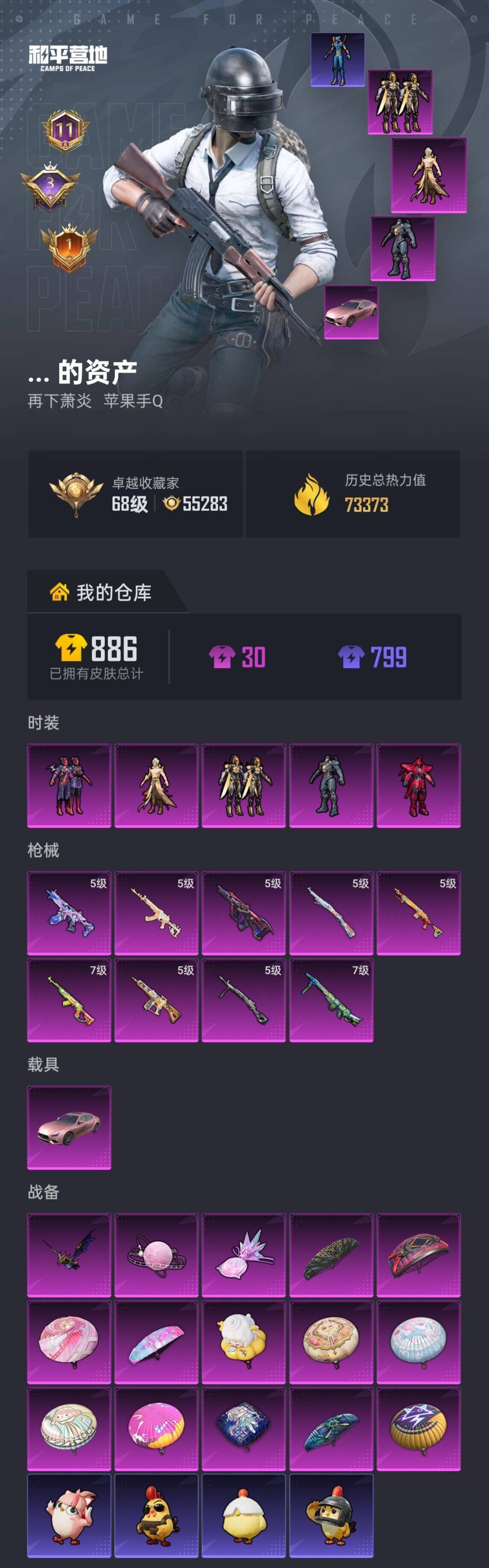 HPLX4293956和平精英账号详情图5 HPLX4293956和平精英账号详情图5