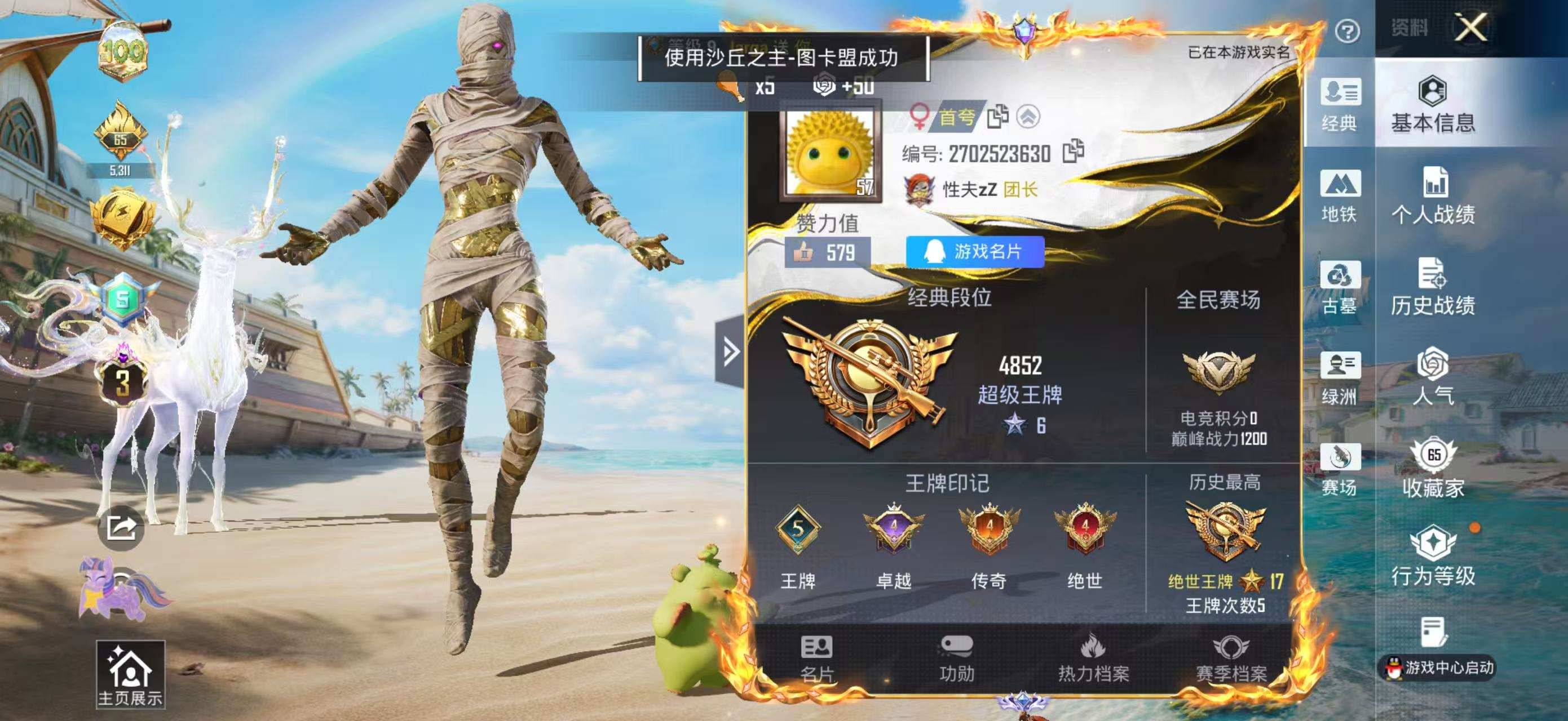 大图