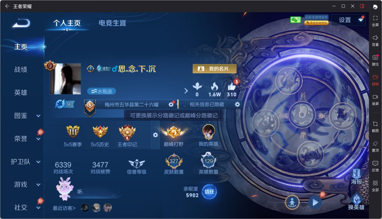 WZQM4504494王者荣耀账号详情图3 WZQM4504494王者荣耀账号详情图3