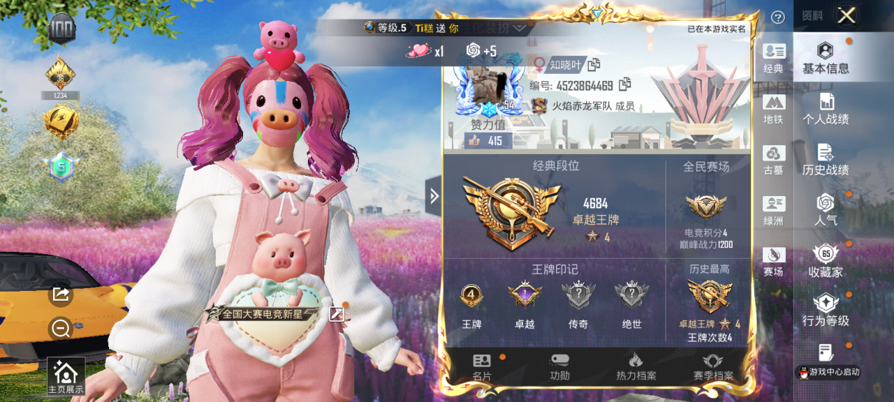 HPQM4291304和平精英账号详情图4