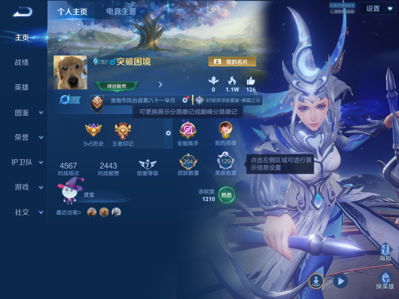 WZQM4531575王者荣耀账号详情图16 WZQM4531575王者荣耀账号详情图16
