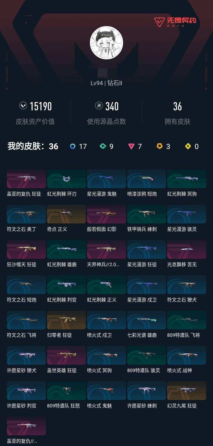 实名: 可修改 实名人: 不是本人 皮肤资...