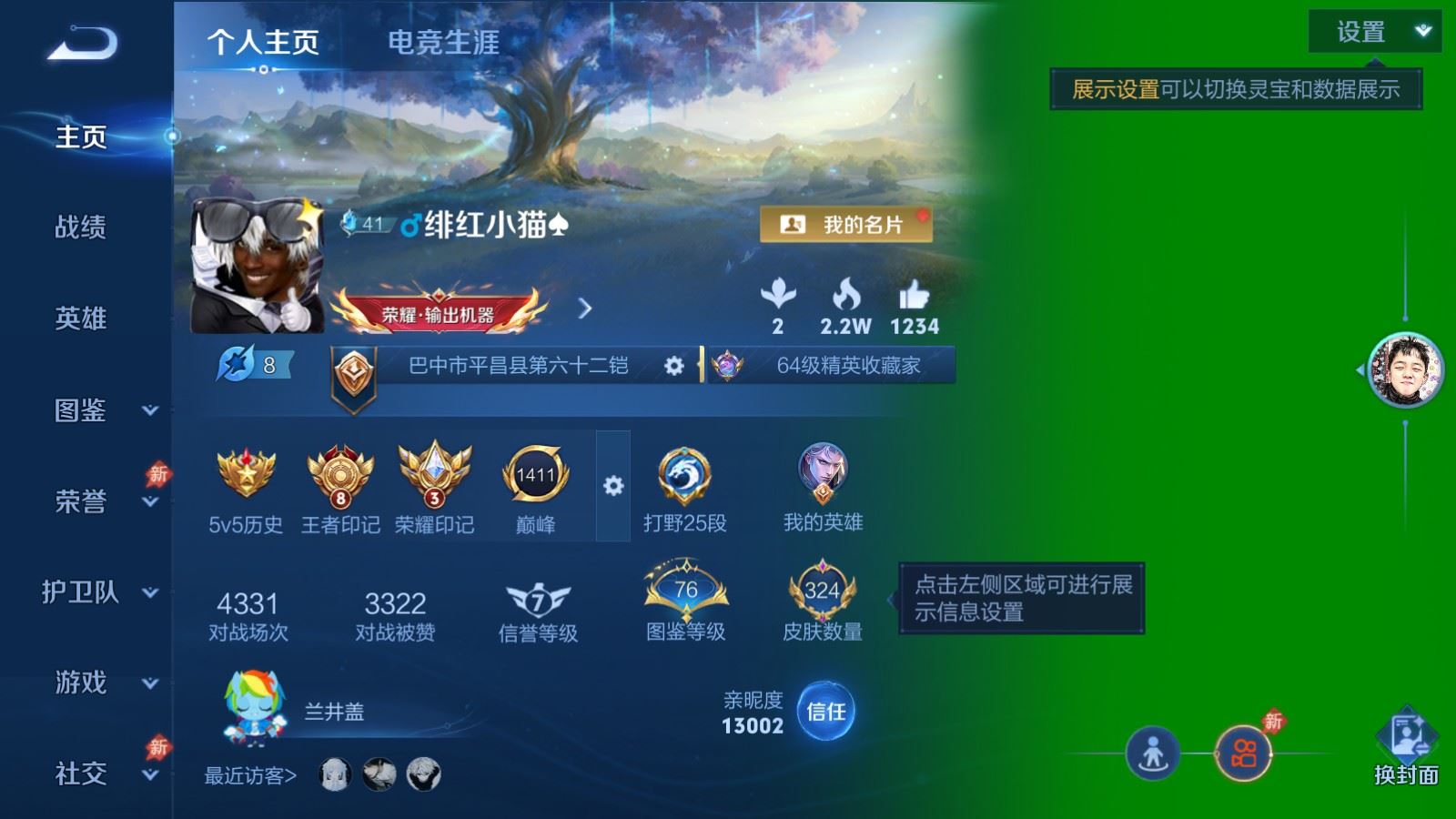 WZQM4545236王者荣耀账号详情图25 WZQM4545236王者荣耀账号详情图25