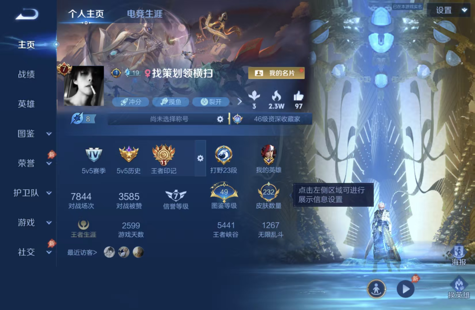 WZQM4559390王者荣耀账号详情图3