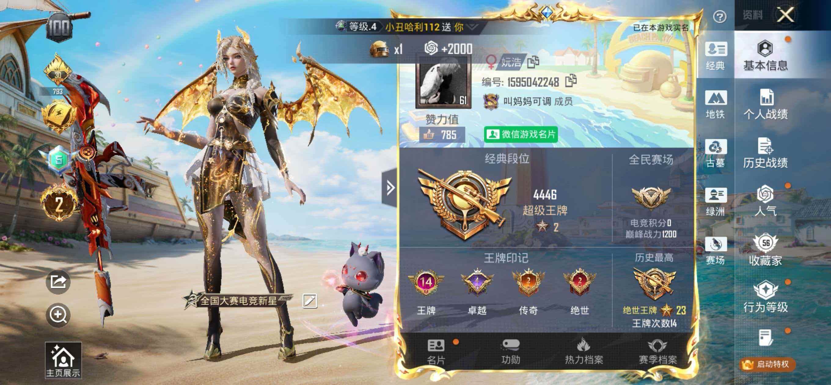 大图