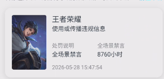 WZQM4553140王者荣耀账号详情图3