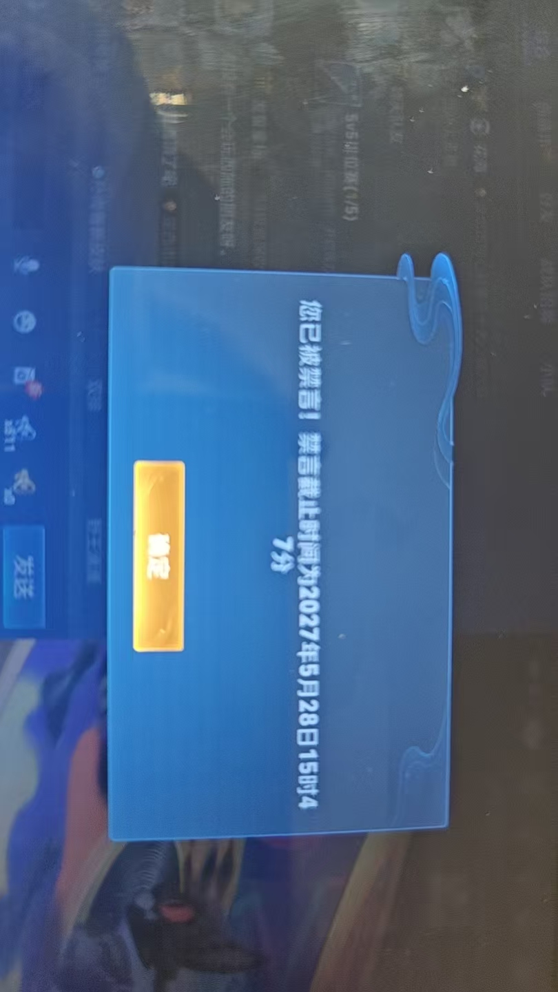 WZQM4553140王者荣耀账号详情图4