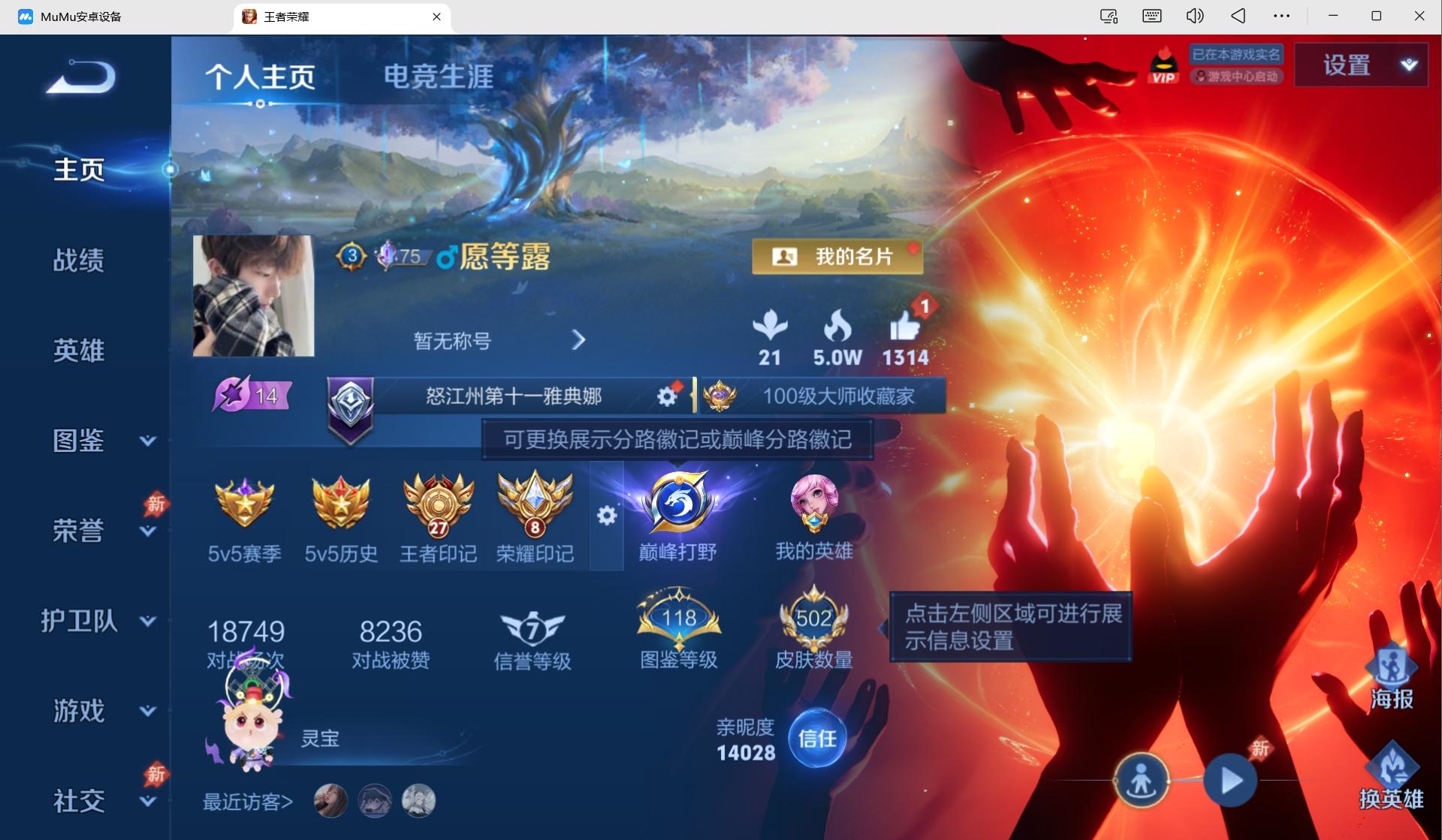 大图