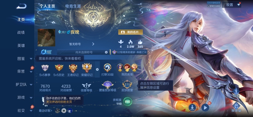 WZQM4588855王者荣耀账号详情图3 WZQM4588855王者荣耀账号详情图3
