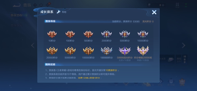WZQM4590330王者荣耀账号详情图13