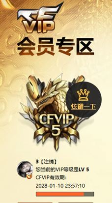 CFQM4104607穿越火线账号详情图10