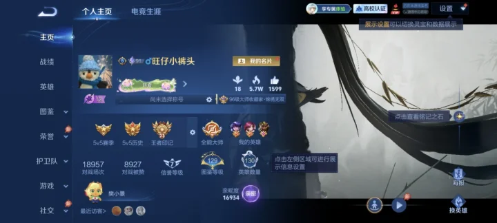 WZQM4644464王者荣耀账号详情图3 WZQM4644464王者荣耀账号详情图3