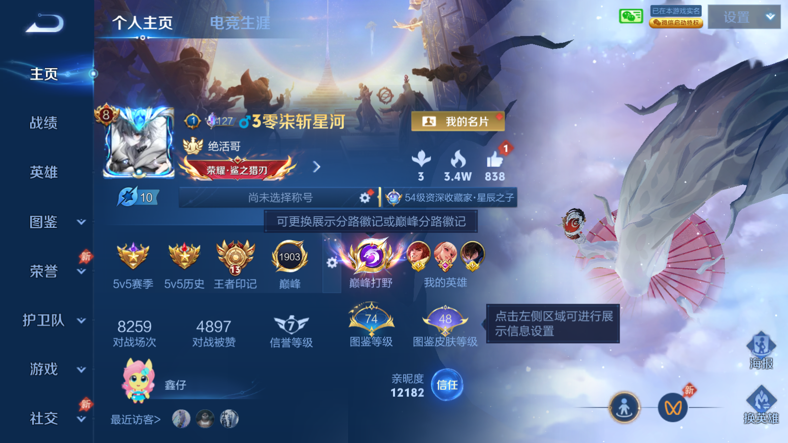 WZQM4646300王者荣耀账号详情图17 WZQM4646300王者荣耀账号详情图17