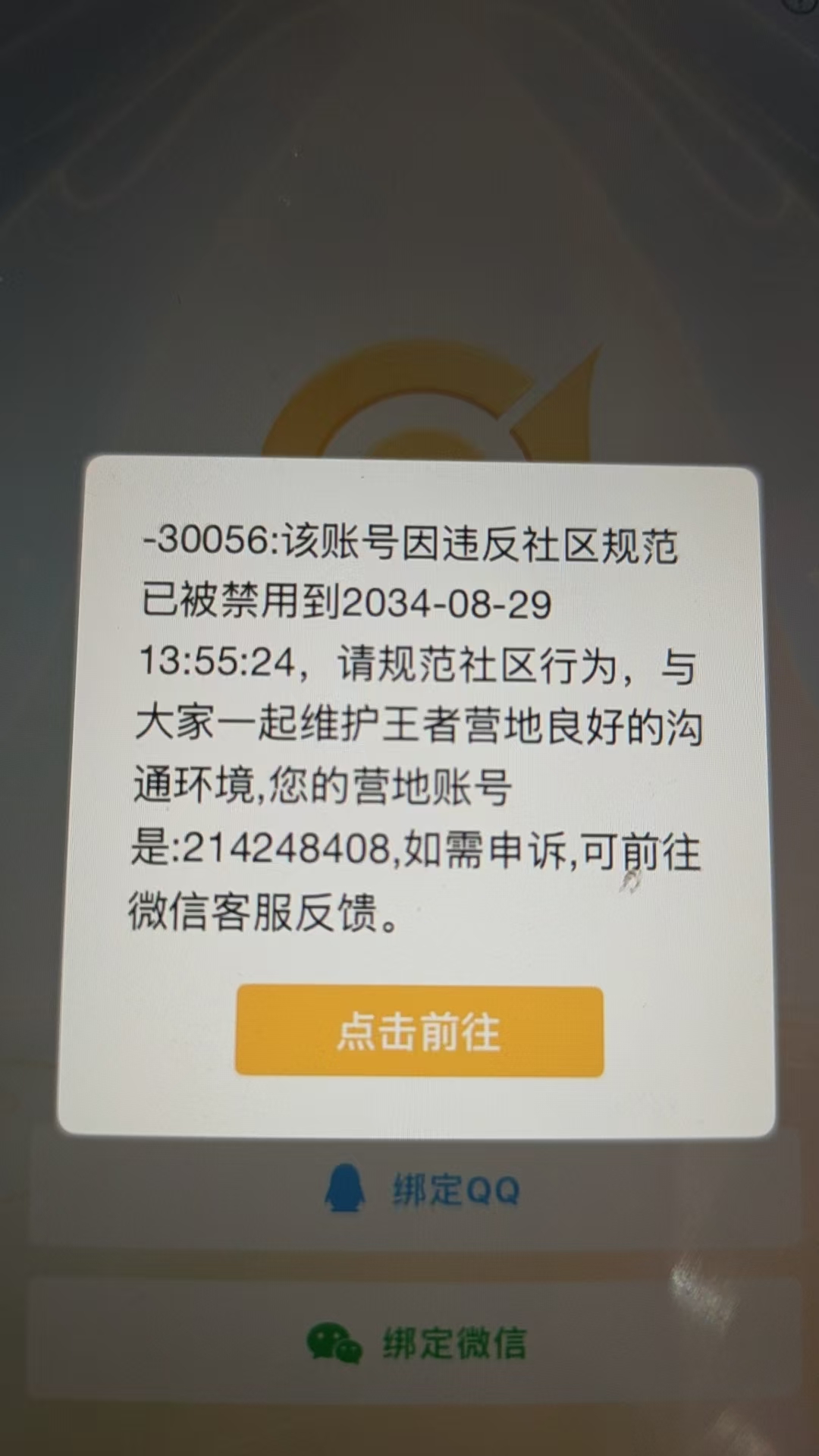 WZQM4685023王者荣耀账号详情图4 WZQM4685023王者荣耀账号详情图4
