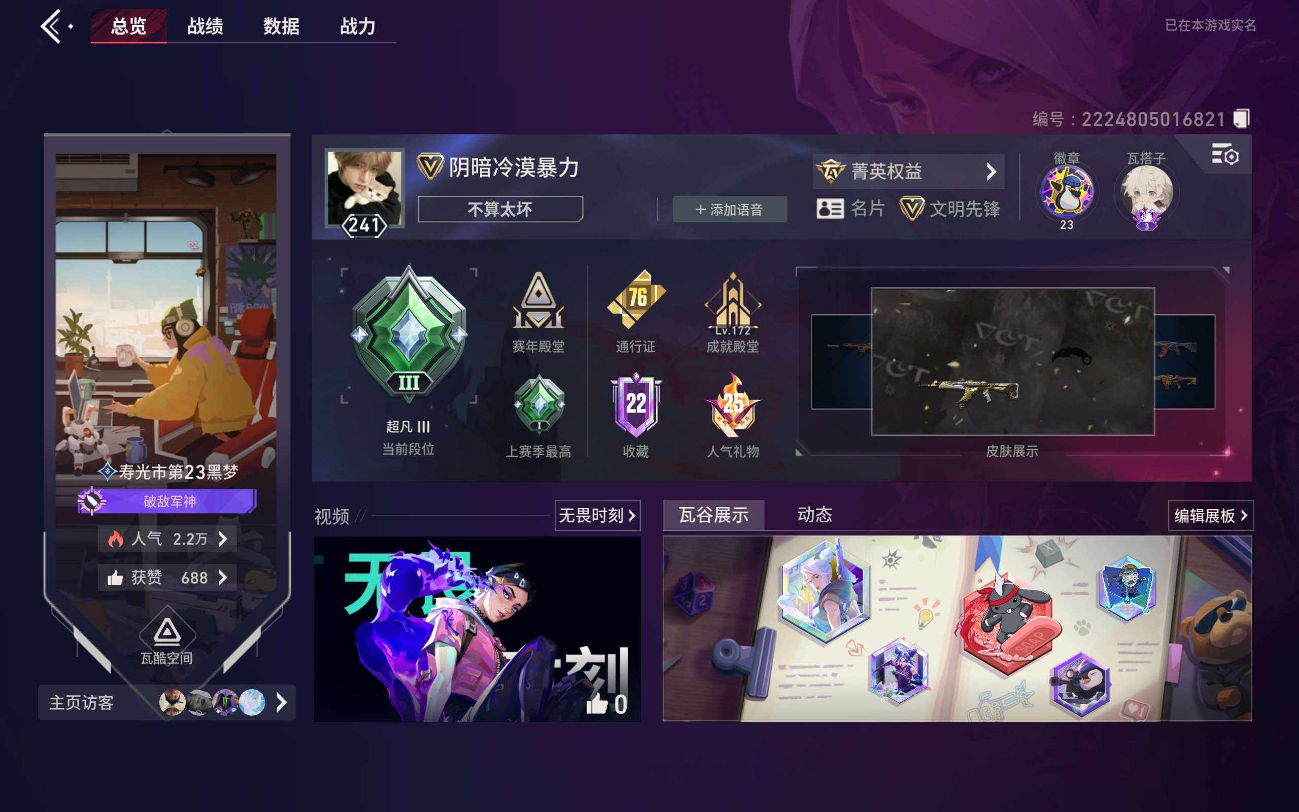 大图