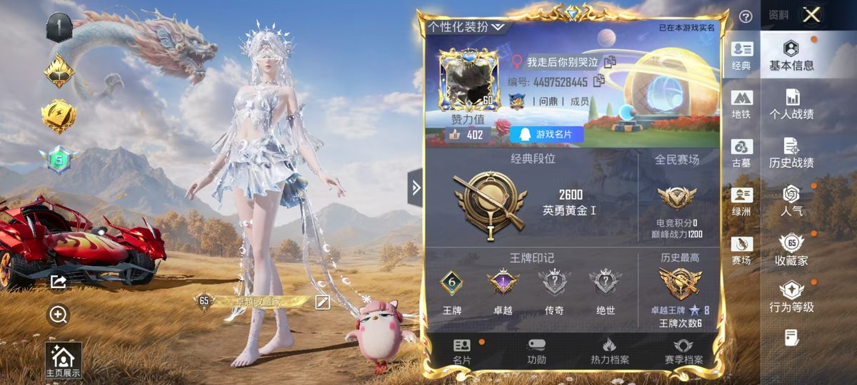 账号详情图片