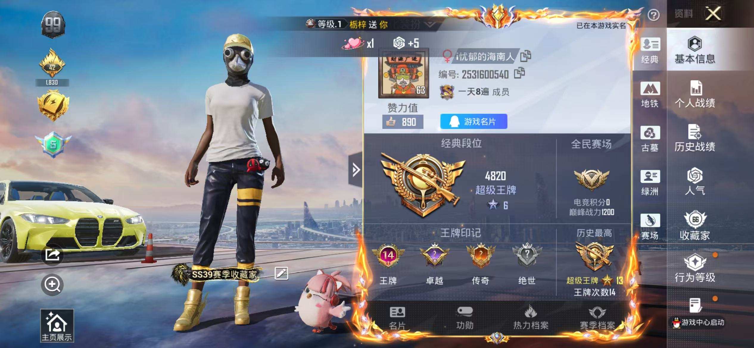 大图