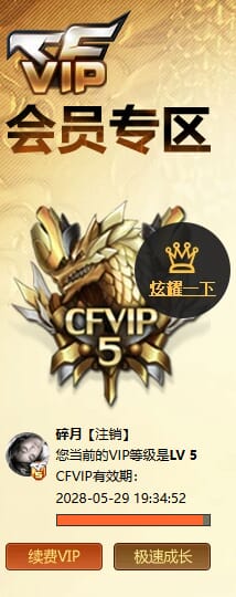 CFQM4112025穿越火线账号详情图6 CFQM4112025穿越火线账号详情图6
