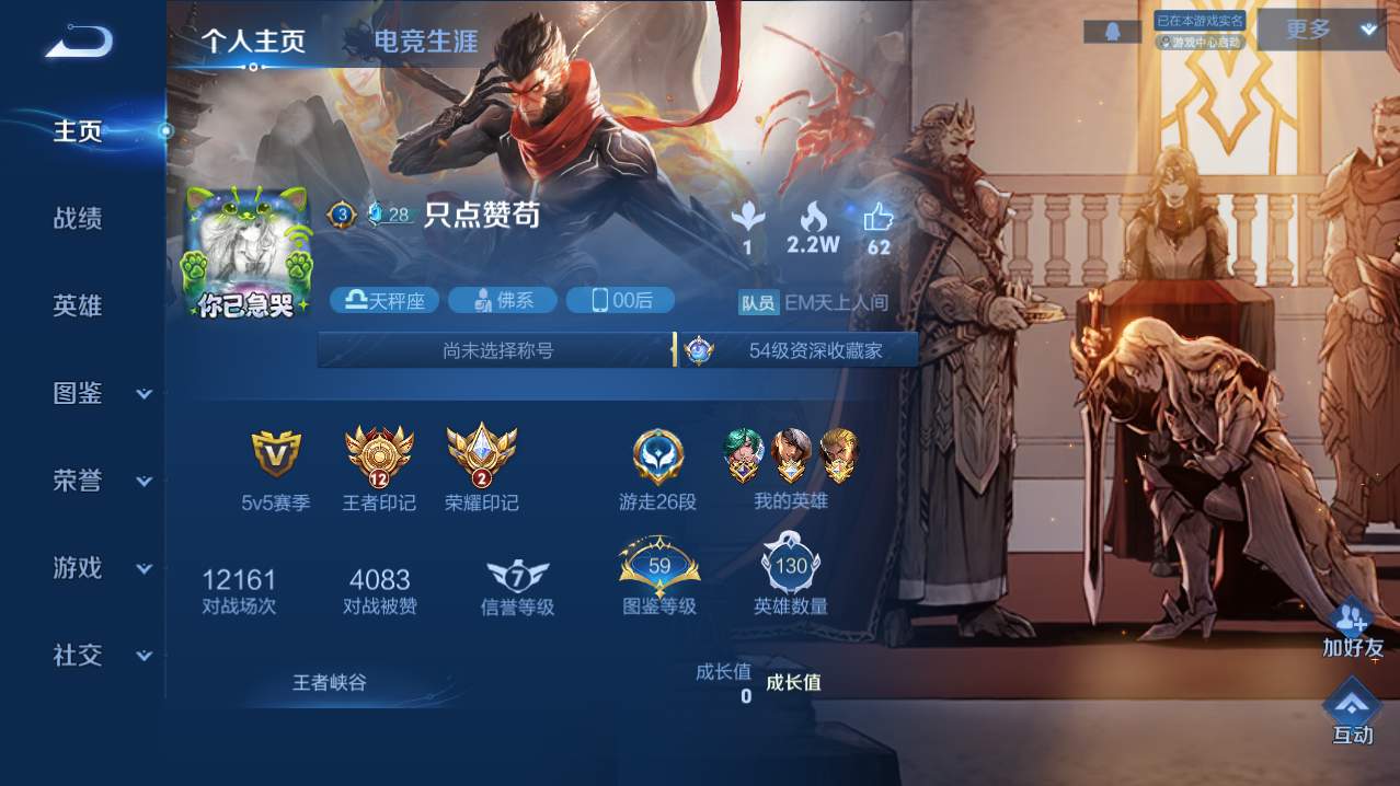 WZMMN4738658王者荣耀账号详情图4