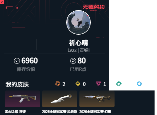 WWQMMN4147005无畏契约账号详情图4
