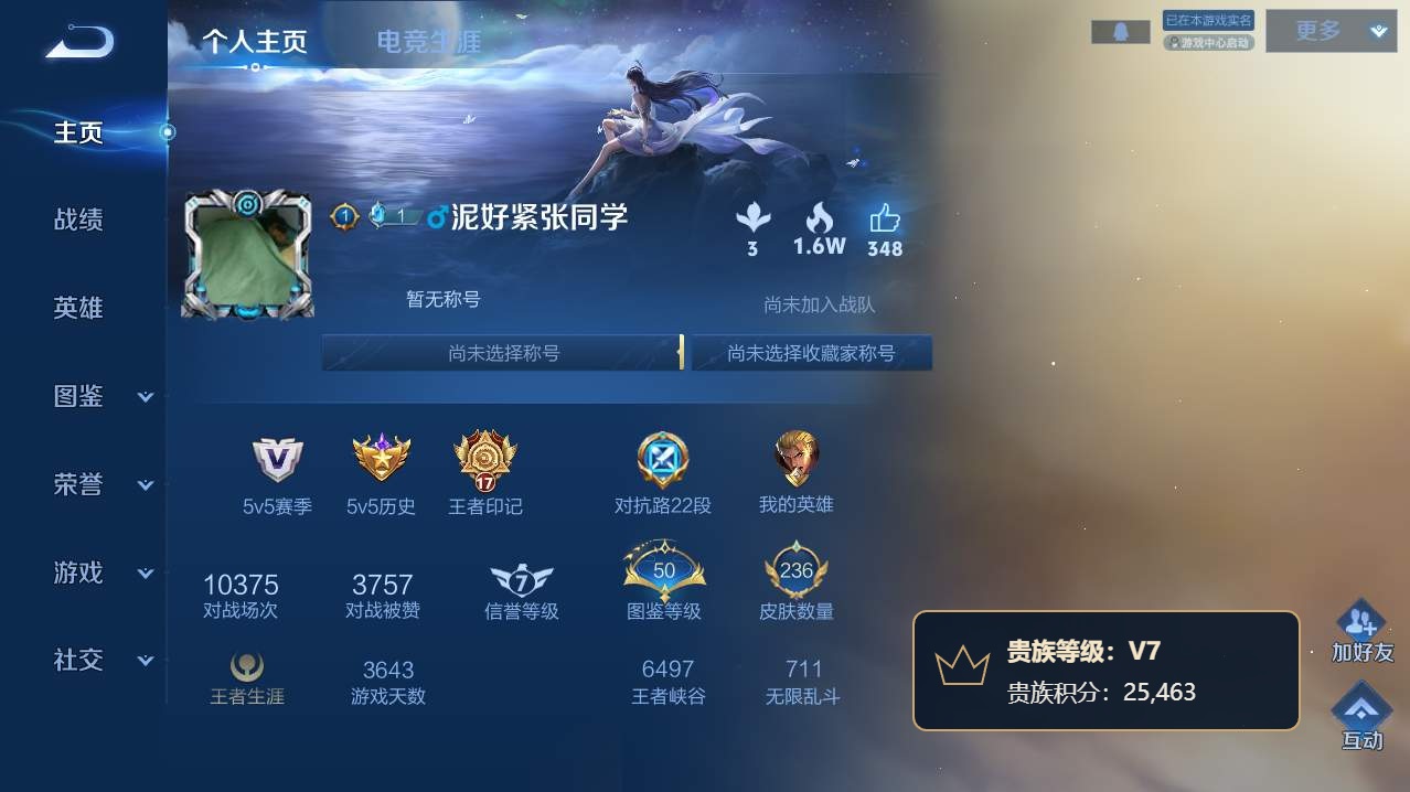 WZQM4748340王者荣耀账号详情图20 WZQM4748340王者荣耀账号详情图20
