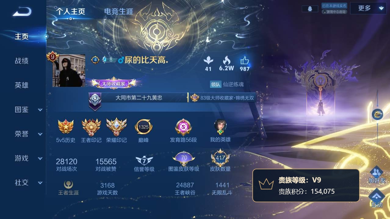 WZQM4760093王者荣耀账号详情图24