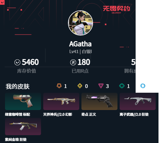 WWQMMN4161808无畏契约账号详情图4