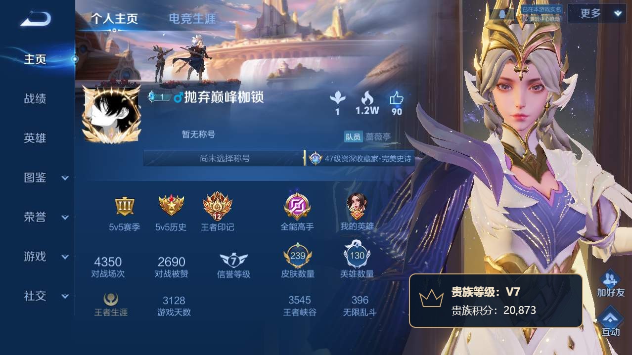 WZQM4789881王者荣耀账号详情图21 WZQM4789881王者荣耀账号详情图21