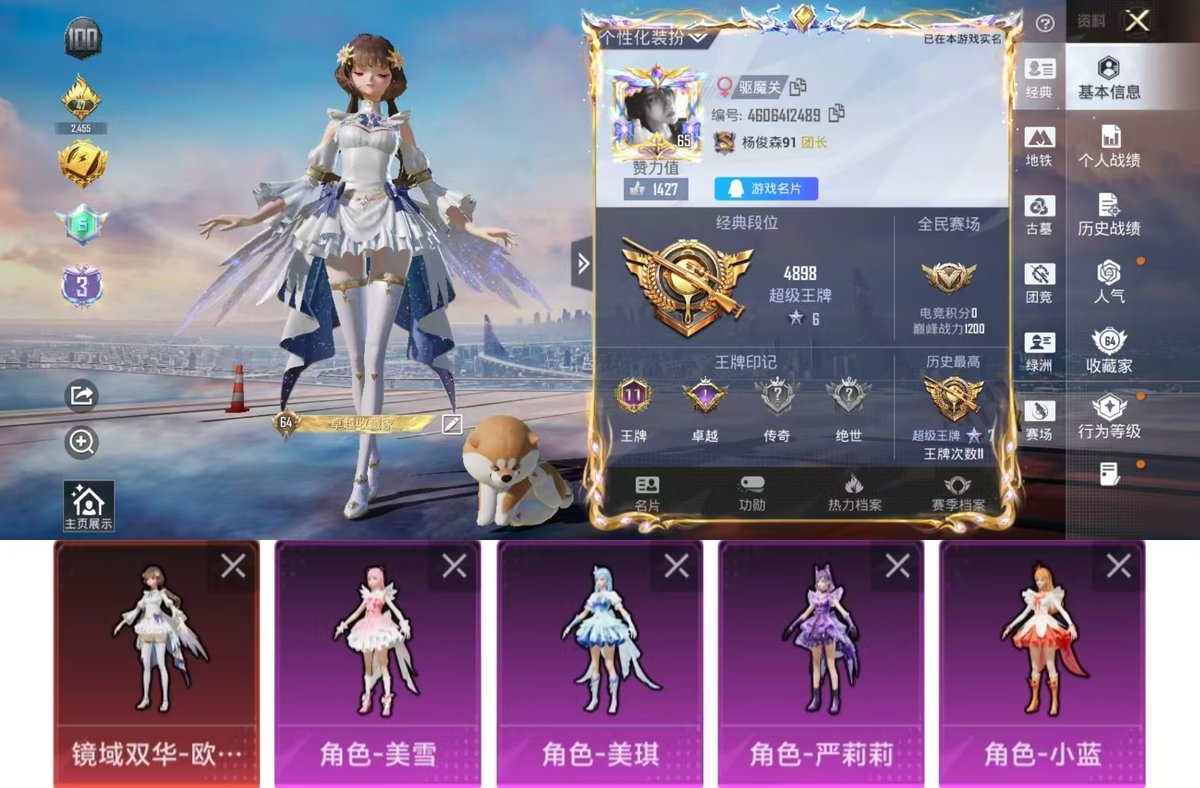 PX_2980447-实名: 可修改 时装数: 449 枪械数: 206 战备数: 157 神级装扮: 镜域双华-欧若拉 热门装扮: 宝贝奶油派,严莉莉,美雪,美琪,小蓝,守护天翼,星穹咏叹调,吾皇猫 稀有枪皮: SCAR-L-锦绣绵绵,SPAS-12蜜语绒猫,M24镜域双华,M416电玩时刻,M200梦海之灵,Kar98K-巳巳如意,DP-28-豹影疾电,MK14-福马献瑞,