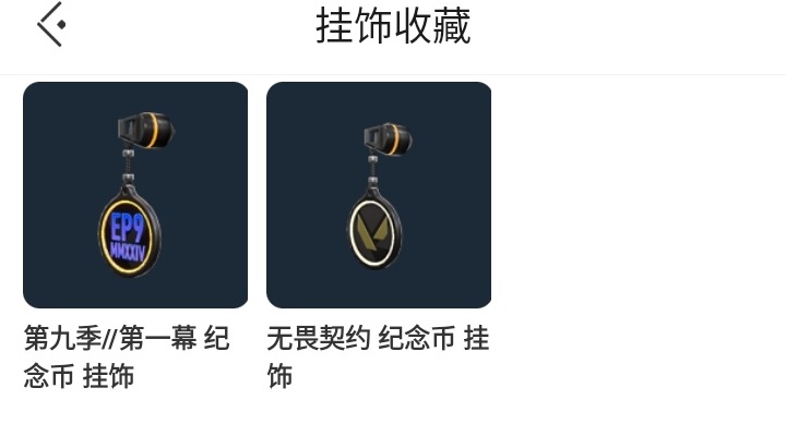 WWQXL23258无畏契约账号详情图20
