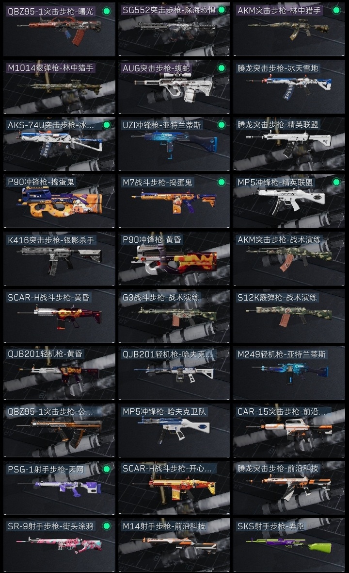 SJZST376669三角洲行动账号详情图37 SJZST376669三角洲行动账号详情图37